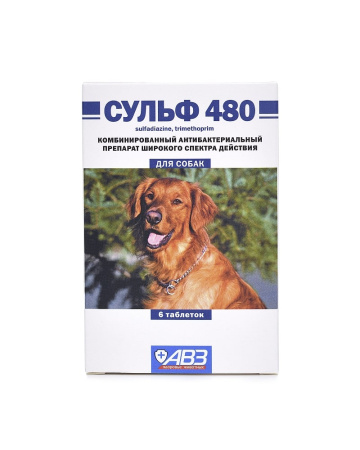 Сульф 480 (6 таб)